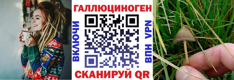 Галлюциногенные грибы Magic Shrooms  наркошоп  Шимановск 